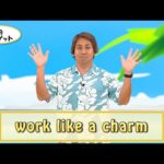 英会話ワンポイントレッスン 第21回　「work like a charm」　By ECC